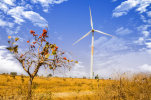 50 MW Wind Power Project in Madhya Pradesh, India